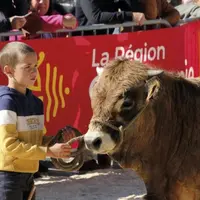 Dimanche 24 septembre, au Malzieu-ville, a eu lieu la quatrième édition du comice de la Haute-Truyère organisé par les JA du canton de Saint-Alban et