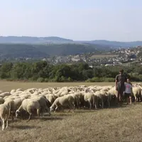 Baptiste Barrere s'est installé en 2016 en ovins viande sur la commune de Chirac.