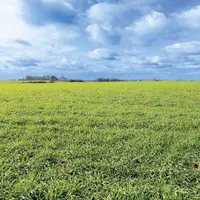 Alors que les propositions de la Commission européenne sur le volet agricole du Green deal peinent à convaincre au sein des institutions européennes,