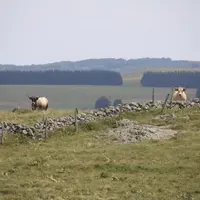 À partir du 1er janvier, une convention collective nationale s’appliquera de manière obligatoire dans les exploitations agricoles et les Cuma. Elle va