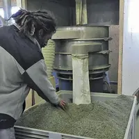 Dans un souci de traçabilité et d’un produit fini de qualité, la Sicarappam transforme les plantes sur place, comme ici en coupe infusette.