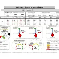 Comme chaque mercredi, voici les indicateurs de marché viande bovine, proposés par la FNB pour faciliter la lecture du marché de la viande bovine par