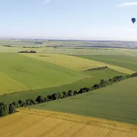 Commandé mi-novembre 2022 par le ministre de l'agriculture Marc Fesneau au CGAAER, le rapport sur l'état des lieux des haies, intitulé « La haie, levi