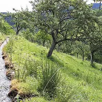 Le tournage du film « Des béals et des hommes » a commencé le 8 juillet dernier. Il se poursuivra en Lozère jusqu’au 14 août.