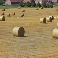 En 2018, production agricole et production agroalimentaire retrouveront un peu des couleurs même si le cours des matières premières agricoles ne devra
