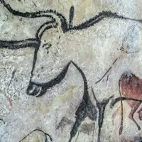 L'Auroch est de retour, y compris en dehors des grandes fresques des grottes. Mais attention, il y a Auroch et Auroch !