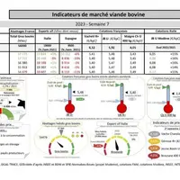 Comme chaque mercredi, voici les indicateurs de marché viande bovine, proposés par la FNB pour faciliter la lecture du marché de la viande bovine par