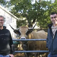 Au Gaec de Ladoux, on aime avant tout les Aubrac, surtout depuis que Cédric Trauchessec a repris la ferme familiale avec son associée Céline Trauchess
