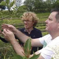 Dans les Vosges, Les jardins de Bernadette, producteurs de plantes à infusion et condimentaires, vendent 2 à 3  % de leur cueillette aux laboratoires