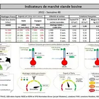 Chaque mercredi, retrouvez les « Indicateurs de marché viande bovine », proposés par la FNB pour faciliter la lecture du marché de la viande bovine pa