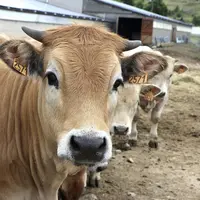 Les 1er et 2 juillet, l’opération fermes ouvertes a eu lieu aux Bondons et aux Laubies. L’occasion pour les agriculteurs d’ouvrir les portes des explo