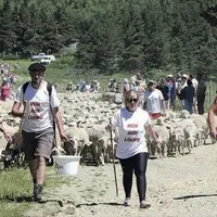 Avec leurs t-shirts « non aux loups », les éleveurs entendaient bien sensibiliser le grand public à la problématique du loup. Pour ajouter en symbole,