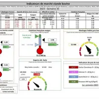 Chaque mercredi, voici les indicateurs de marché viande bovine, proposés par la FNB pour faciliter la lecture du marché de la viande bovine par les él