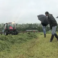 Une bonne gestion de l’herbe permet la réduction des coûts d’alimentation.