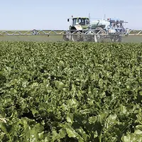 Alors que les producteurs européens d’engrais et les agriculteurs subissent de plein fouet la flambée des prix des engrais liés à ceux du gaz dans le