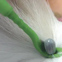 Les chiens peuvent rester porteurs de Borrelia pendant de longues périodes sans manifestation.
