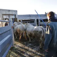 La question du statut de l'agriculteur provoque le débat parce qu'il n'existe pas de définition de l'exploitant agricole dans le droit rural.