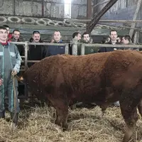 L'après-midi, les participants ont pu visiter l'exploitation d'Emmanuel Roux, à Trélans.