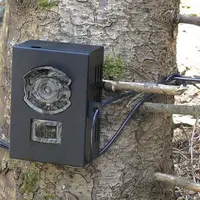 La photosurveillance, pour améliorer et préciser les connaissances sur le loup.
