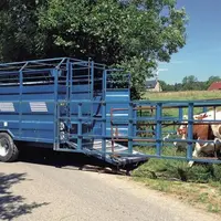 La commission spéciale du Parlement européen devait adopter le 2 décembre ses recommandations sur les transports d'animaux vivants dans l'UE et à l'ex