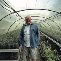 Didier Chabert, dans ses serres, aux côtés de jeunes plants qui requièrent déjà toute son attention.