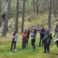 Encore peu répandue dans le Massif Central, la gestion forestière en couvert continu intéresse de plus en plus d’acteurs de la forêt. Au point d’organ