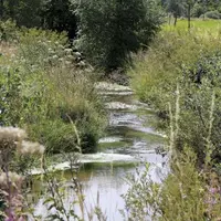 La situation des nappes phréatiques à fin mai est globalement satisfaisante, avec des niveaux proches des moyennes mensuelles à modérément bas, avec t