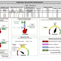 Chaque mercredi, les indicateurs de marché viande bovine, proposés par la FNB pour faciliter la lecture du marché de la viande bovine par les éleveurs