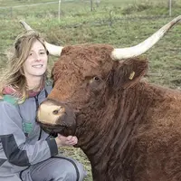 Dix jours après le Sommet de l’élevage, Chloé et ont retrouvé les paisibles prairies de Haute-Loire.