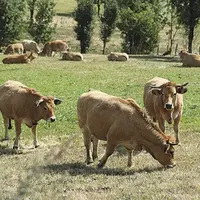 S’ils disent souscrire aux grandes lignes des stratégies « de la ferme à la fourchette » et « biodiversité » que vient de présenter la Commission euro