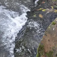 L'Agence de l'eau Seine-Normandie a présenté le 26 novembre son bilan annuel. Le nombre de captages dégradés se réduit, mais des problèmes subsistent