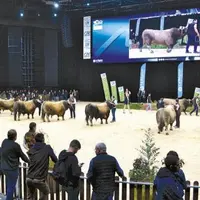 400 animaux, 44 structures partenaires privés et huit collectivités : le National Aubrac au Sommet de l'élevage a laissé de grands souvenirs.