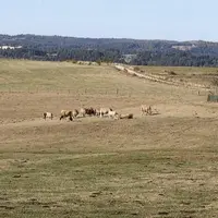 C'est avec stupeur que les agriculteurs de Lozère découvrent les bilans promulgués par l'État sur les pertes liées à la sécheresse 2022.