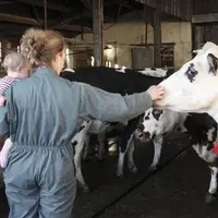 Finie l’embellie observée en 2021 et 2022. La valeur ajoutée dégagée par chaque actif agricole reculerait de 9 % en valeur réelle en 2023, selon l’Ins