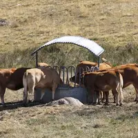 Vendredi 9 novembre, l’assemblée départementale, a approuvé le « dispositif d’aide aux agriculteurs victimes de la sécheresse au titre de l’année 2019