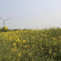 Le plan de compétitivité et de modernisation des exploitations agricoles prévoit un volet consacré aux économies d'énergie et à la production d'énergi