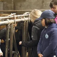 Si en 2020, la sixième édition des Made in viande a dû être annulée pour cause de pandémie mondiale, en 2021, une nouvelle édition se prépare du 24 au