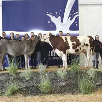 Du 16 au 19 septembre a eu lieu à Saint-Gaudens les Pyrénéennes, qui a pour ambition « de devenir le second salon de l'agriculture après Paris », selo
