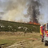 Depuis 2018, l'association Copage et les agriculteurs de la commune du Pont-de-Montvert-Sud-Mont-Lozère font appel à l'Unité d'Instruction et d'Interv
