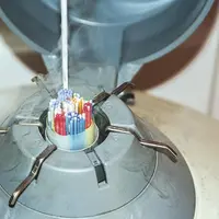 Les IA par synchronisation des chaleurs ont été multipliées par trois en dix ans.