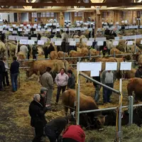 La grande halle d'Aumont-Aubrac, comble en ce week-end de concours.