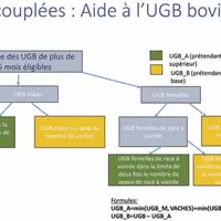 La télé-déclaration des aides ovines et caprines est ouvert du 1er au 31 janvier sur Télépac. Les modalités d'éligibilité à ces aides n'évoluent pas m