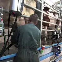 Un outil qui analyse la qualité de la traite.