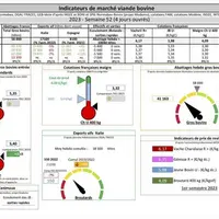 Chaque mercredi, les indicateurs de marché viande bovine, proposés par la FNB pour faciliter la lecture du marché de la viande bovine par les éleveurs