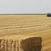 Depuis plusieurs années, la Chine stocke en permanence 475 millions de tonnes de céréales alors que sa production est chaque année déficitaire. Elle e