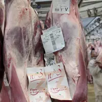 Le 7 avril, la section bovine d'Interbev a validé le renouvellement de l'accord interprofessionnel relatif à l'achat et l'enlèvement des bovins de hui
