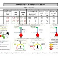 Comme chaque mercredi, voici les indicateurs de marché viande bovine , proposés par la FNB pour faciliter la lecture du marché de la viande bovine par