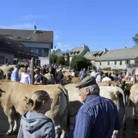 la Fête de l’Aubrac a accueilli sur le foirail de Nasbinals plusieurs centaines de personnes.