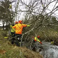 L’après-midi, l’école forestière de Javols est venue faire une démonstration de travaux d’entretien ripisylve.
