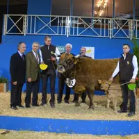 Usange du Gaec Brunel remporte le 1er Prix des Aubrac
